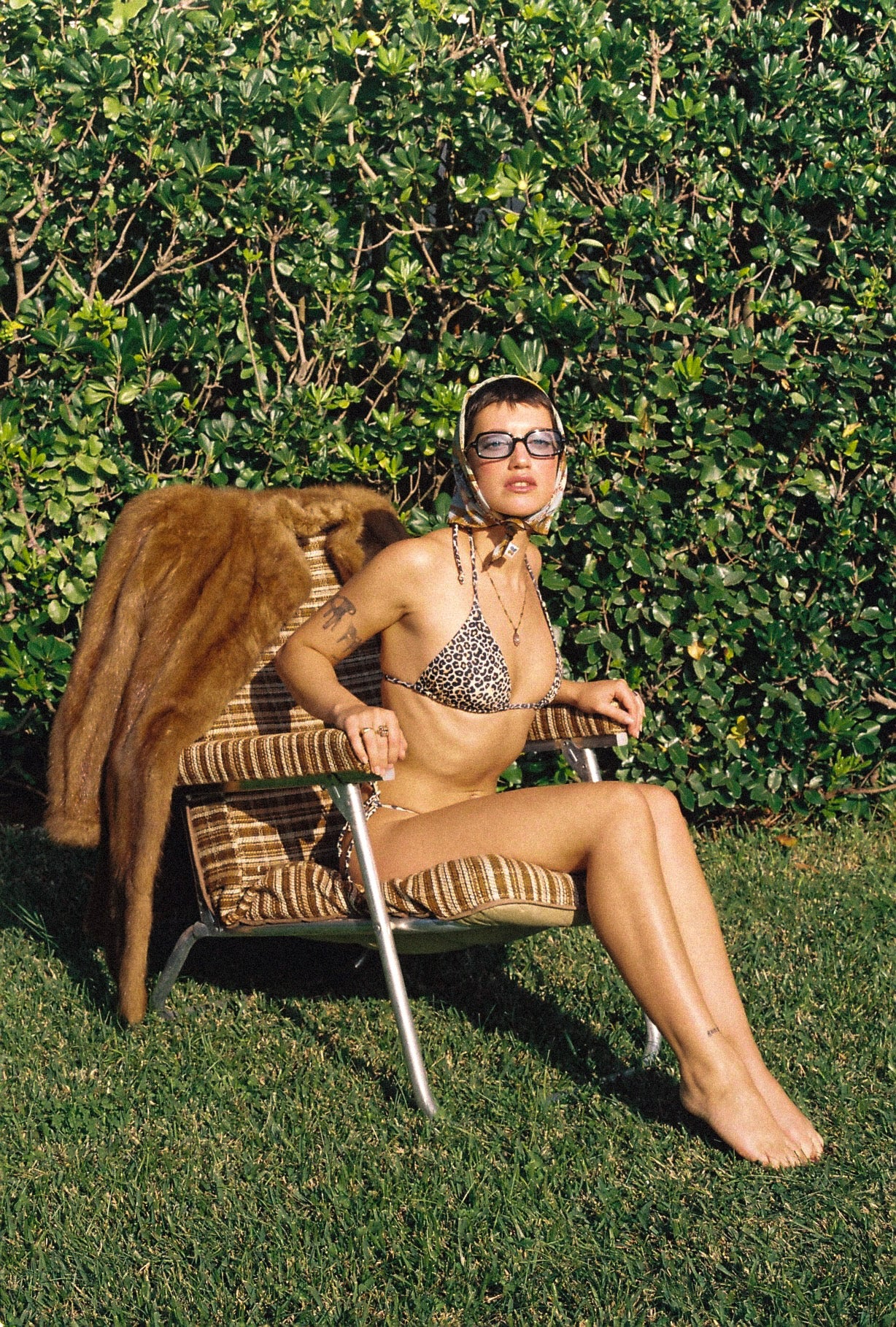 Dolphin Love Swim • Leopard Bikini Top