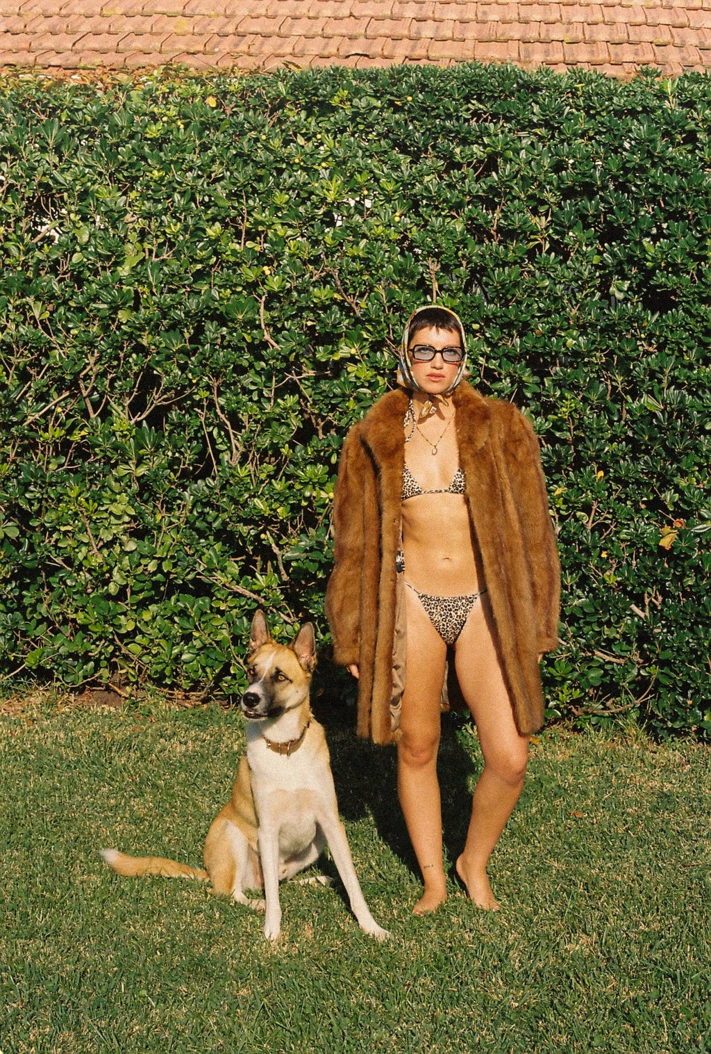 Dolphin Love Swim • Leopard Bikini Bottom