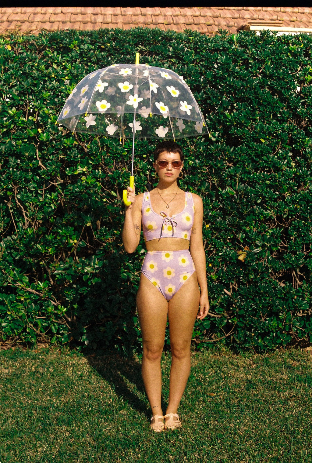 Dolphin Love Swim • Flower Purple Bottom High Cut