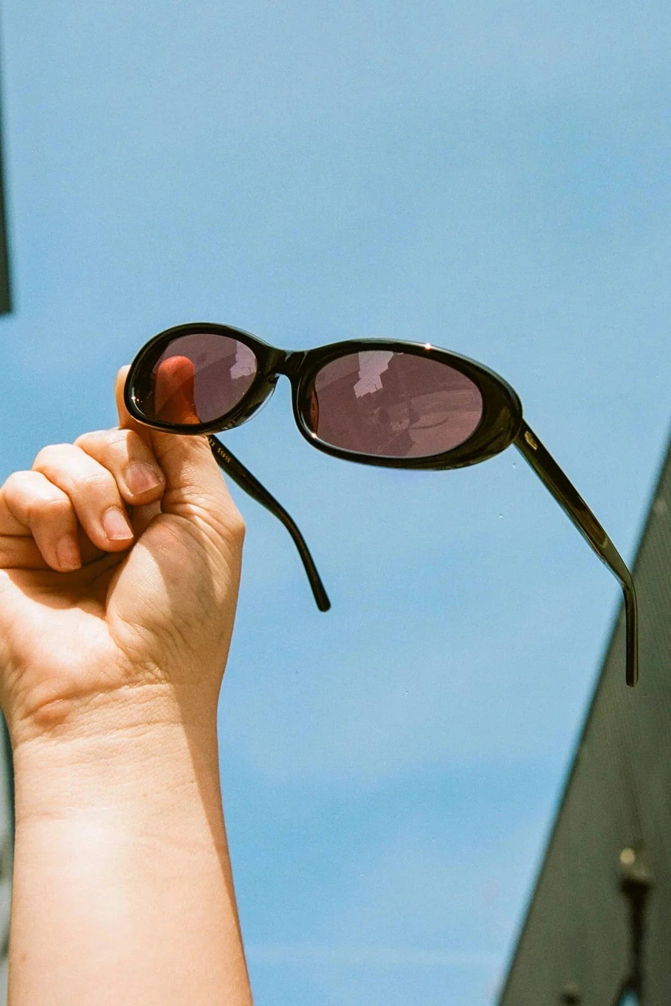 The LUV BUZZ ・Crap Eyewear