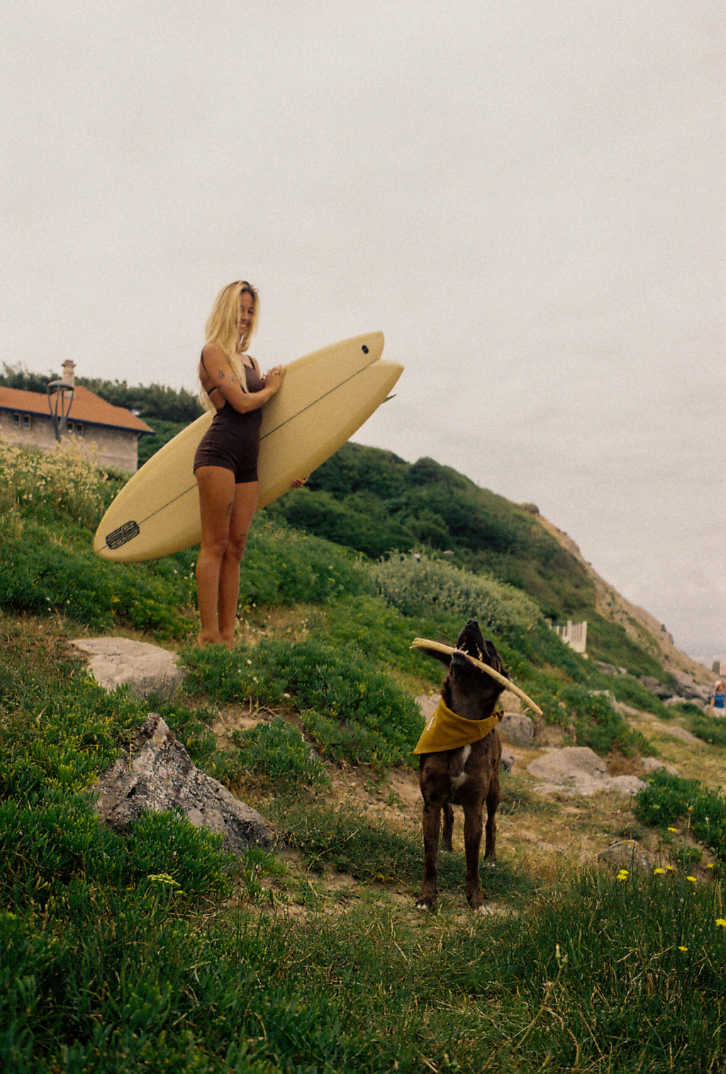 Dolphin Love Swim • One Piece Short Brown