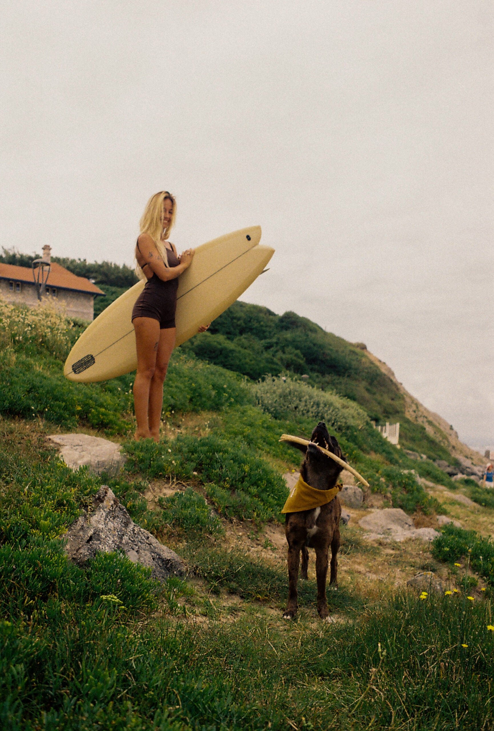 Dolphin Love Swim • One Piece Short Brown