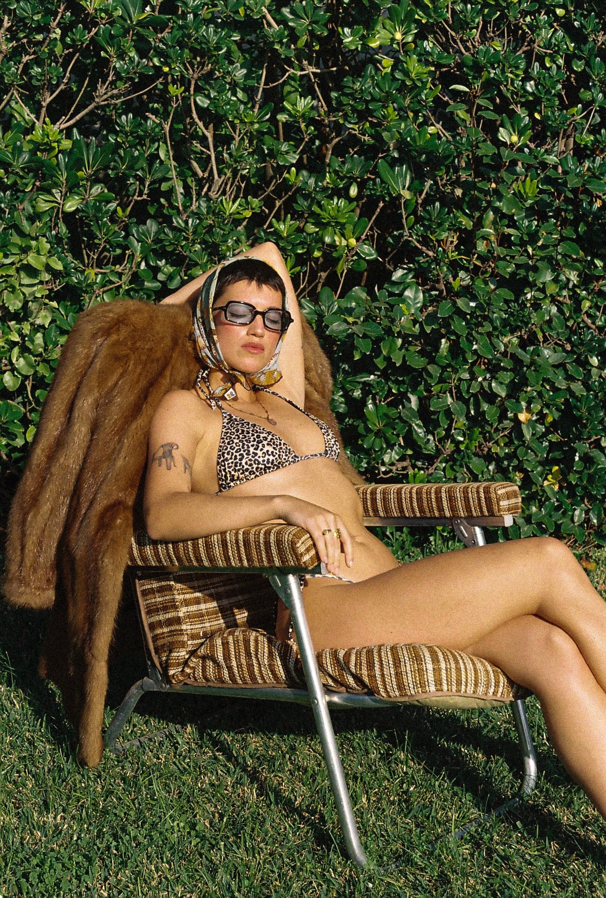 Dolphin Love Swim • Leopard Bikini Top