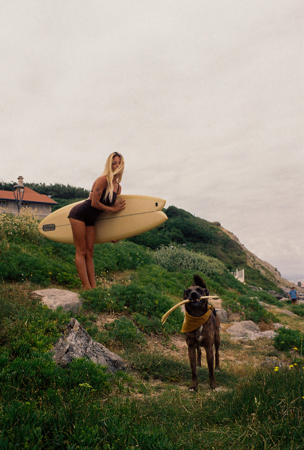 Dolphin Love Swim • One Piece Short Brown