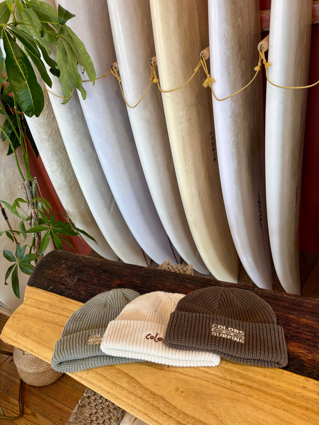 Colors Classic Beanie • Green