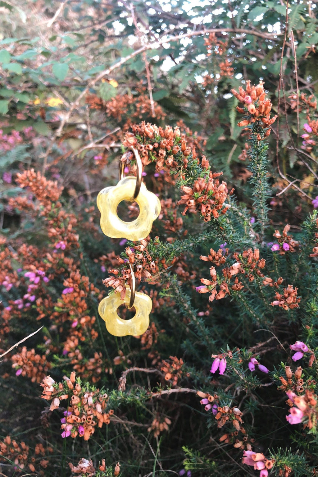 Kolore • Acid Ochka